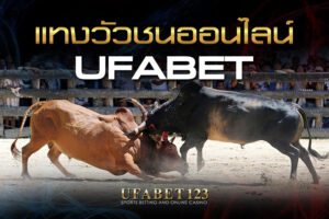 แทงวัวชนออนไลน์ Ufabet